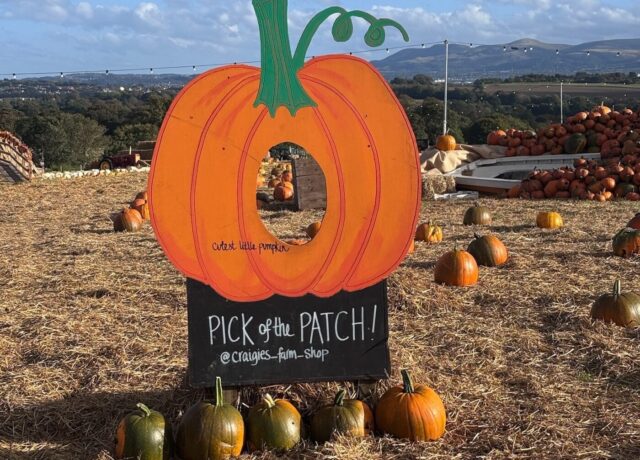 Pumpkin-shaped photo frame in the Craigies pumpkin patch