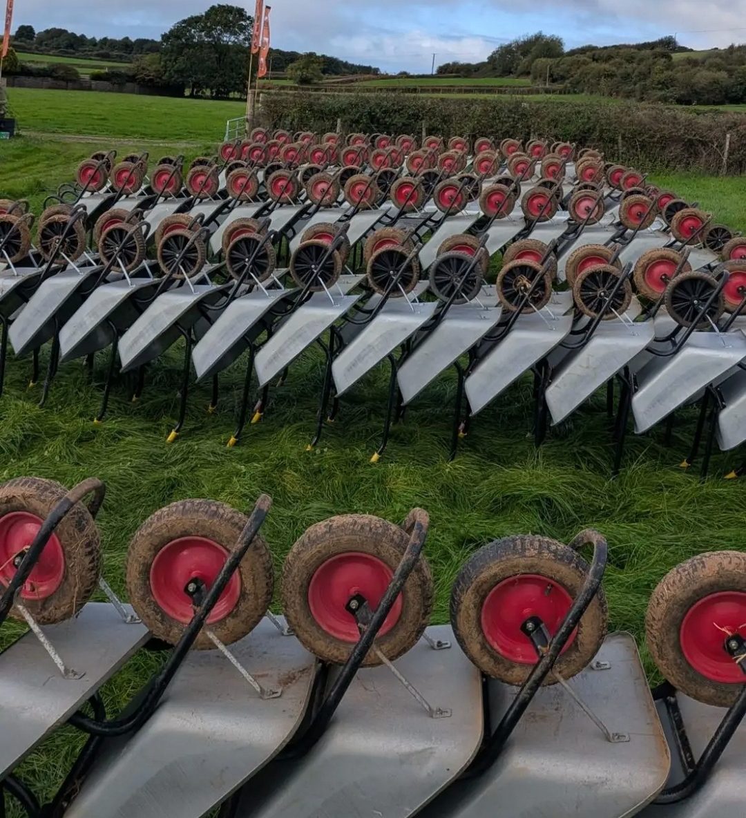 Porthcawl Pumpkin Patch photograph