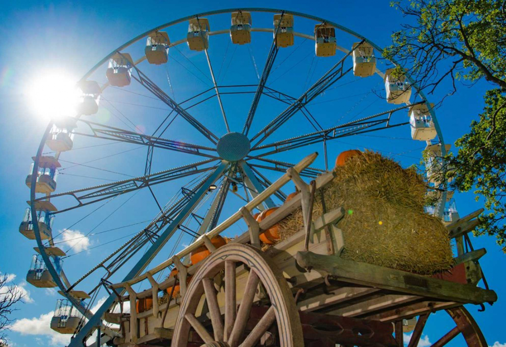 Observation wheel above an autumn farm display at Tulleys